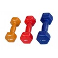 dumbbell(JY-9750)