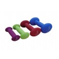 dumbbell(JY-9753)
