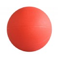 Medicine Ball(JY-207)