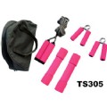 Training Set(TS305)